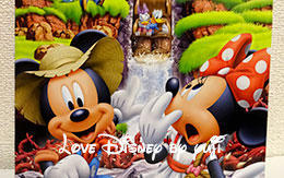 「ミッキー＆ミニーのスペシャルフォト」スプラッシュ・マウンテンのライドショット