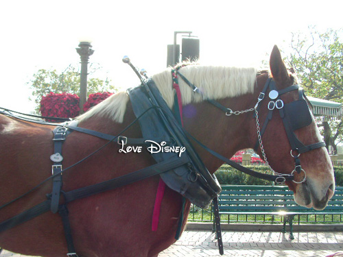 Horse-Drawn Streetcars、２