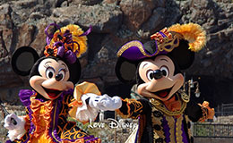 ミッキー＆ミニー画像！マウスカレード・ダンス