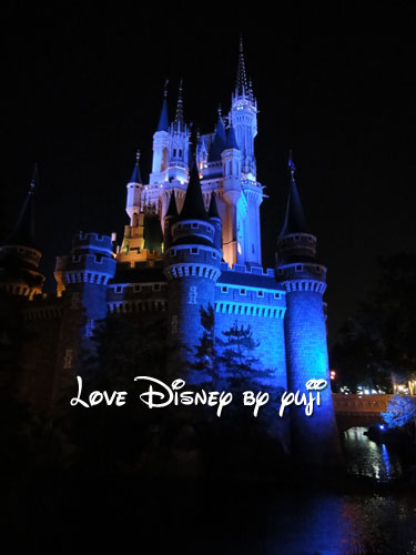 シンデレラ城に泊まれる権利 Love Disney