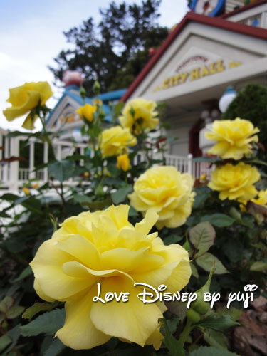 東京ディズニーランド・花、１