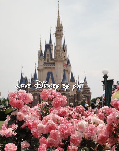 薔薇に囲まれるシンデレラ城 東京ディズニーランド Love Disney