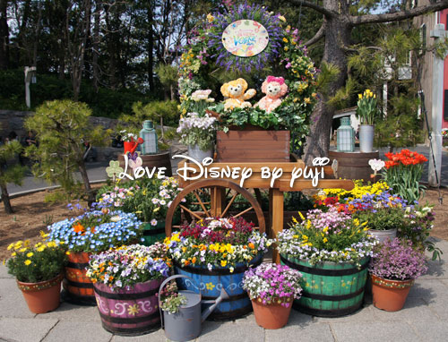 ダッフィーとお花のコラボ 東京ディズニーシー Love Disney