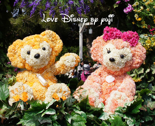 ダッフィーとお花のコラボ 東京ディズニーシー Love Disney