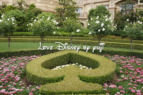 東京ディズニーランドホテル バラに囲まれた場所 Love Disney