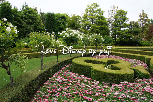 東京ディズニーランドホテル バラに囲まれた場所 Love Disney
