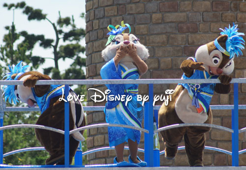 涼舞疾風チーム・中央鑑賞エリア・東京ディズニーランド