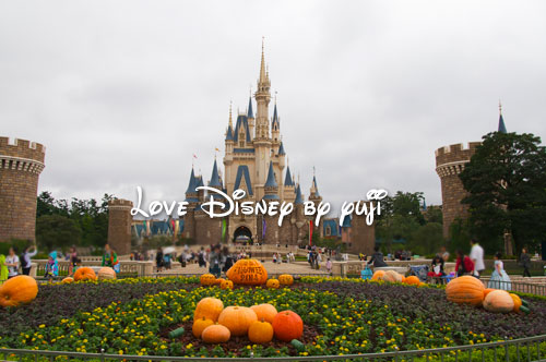 ディズニーハロウィーン2014・プラザ・飾付・中央花壇