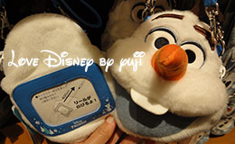 アナとエルサのフローズンファンタジーのグッズ（その3）