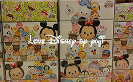 TSUM TSUMグッズとアナ雪グッズ紹介！東京ディズニーランドホテル