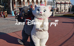 アーリーエントリーのキャラクターグリーティング！東京ディズニーランド