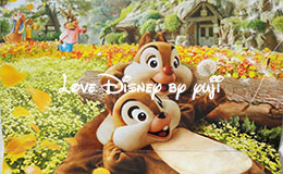 東京ディズニーランドホテルのアナ雪ルームのアメニティ＆非売品カレンダー