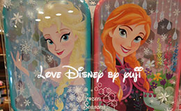 Frozen Seasons(アナとエルサ)のグッズ紹介！東京ディズニーリゾート