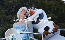 フローズンファンタジーのオラフとエルサのペア画像！東京ディズニーランド