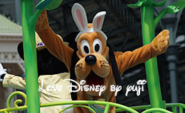 2ndのミッキー＆プルート停止位置から撮影！ヒッピティ・ホッピティ・スプリングタイム2015