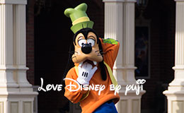 ランドの開園前グリーティング！グーフィー1ショット画像