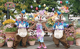 5/16からの両パークのフォトファン画像紹介！ディズニー・イースター2015