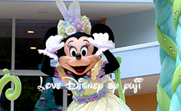 ミニーフロート停止位置から撮影した「ヒッピティ・ホッピティ・スプリングタイム2015」