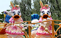 プラザのデイジーフロート停止位置から撮影！ヒッピティ・ホッピティ・スプリングタイム2015