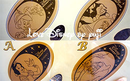 「マンスリースーベニアメダル」と「ディズニーリゾートラインのスーベニアメダル」全種類！2015年8月現在