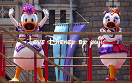 中央鑑賞エリアから撮影した雅涼群舞＆ユニクロとディズニーのコラボ商品情報