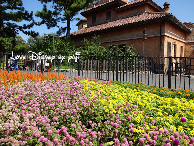 ザンビーニ・ブラザーズ・リストランテ横の花壇（その3）