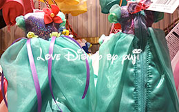 ディズニーキャラクターの「ペンケース」種類紹介！ in TDR