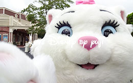 開園前グリーティングの画像を7枚紹介！ in TDL