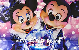 「11月のマンスリースーベニアメダル」と「非売品ディズニーカレンダー11月」