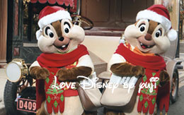 「11月のフォトファン」と「TODAY」紹介！クリスマス・ウィッシュ2015