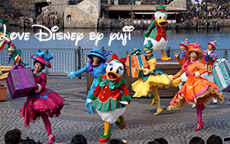 リドアイルの立ち見で撮影したデイジー画像9枚紹介！パーフェクト・クリスマス