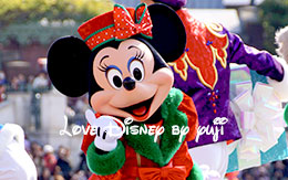 ザンビ前の立ち見で撮影したミニー画像7枚紹介！パーフェクト・クリスマス