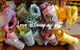 TDRのスペシャルプライスのグッズを14種類紹介！2016年2月7日現在