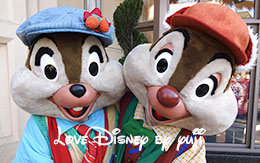 チップ＆デールのペアグリーティング画像5枚紹介！〜Disneyland Resort旅行記〜