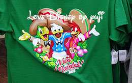 「キャラクター・Tシャツ」を13種類紹介！Disneyland Resort旅行記