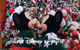 A Christmas Fantasy Parade画像紹介！Disneyland Resort旅行記・4日目