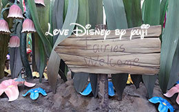 「ティンカー・ベル＆シルバーミスト」グリーティング画像！Disneyland Resort旅行記