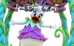 デイジーの停止位置で撮影したヒッピティ・ホッピティ・スプリングタイム2016