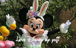 ミニーのフロート停止位置から撮影したヒッピティ・ホッピティ・スプリングタイム2016