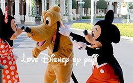 ミニーとプルートのキス画像！ in TDL