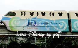 ザ・イヤー・オブ・ウィッシュライナー全体画像紹介！ディズニーリゾートライン