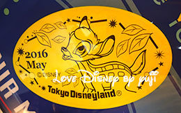 5月マンスリースーベニアメダル全種類＆スーベニアメダルコレクションブック