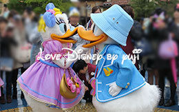 ドナルドとデイジーの回転キス画像など9枚紹介！グリーティング