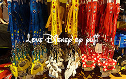 2016年夏「ネックストラップ（ボトルフック付き）」3種類紹介！ in TDR