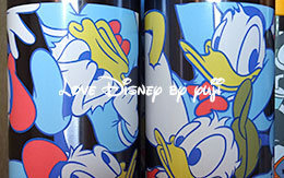 2016年夏「キャラクターのドリンクボトル」18種類紹介！ in TDR