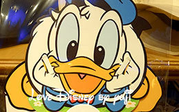 2016年春夏「オススメグッズ」10種類紹介！ in TDR