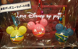 2016年夏のオススメグッズ＆お菓子を13種類紹介！ in TDR