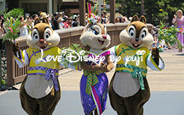 「七夕グリーティング2016」初見レポート！ in TDL