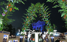 「ディズニー七夕デイズ2016」七夕飾付の夜景紹介！ in TDS