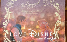 「ディズニー＆ピクサー映画の2017年スケジュール帳」11冊紹介！ in TDR